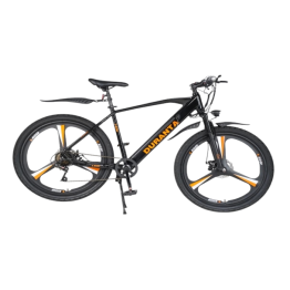 101 ইলেকট্রিক সাইকেল (হোন্ডা রিম)